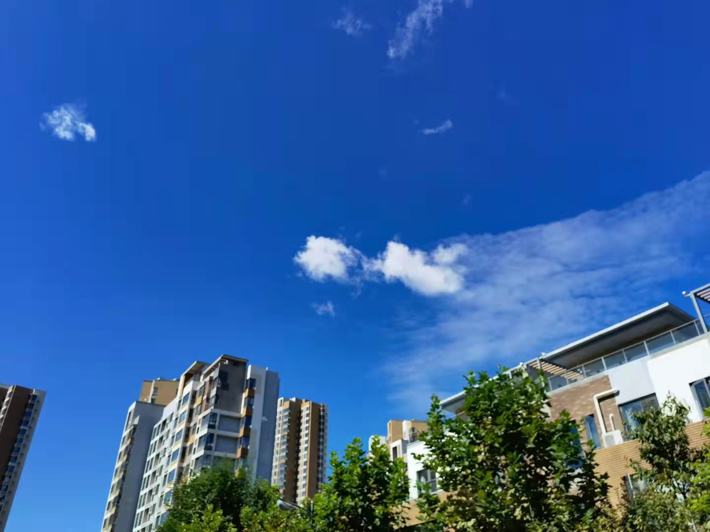 寻诀2021丨远洋集团：稳健、健康