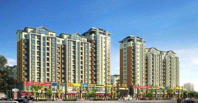 阳光城:董事仲长昊辞职